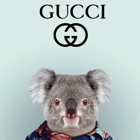 Meet your Posher, Keegan - Picture 1 of 1